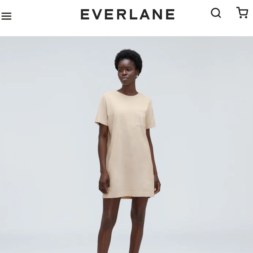 [NEW] Everlane The Organic Cotton Weekend Tee Dress